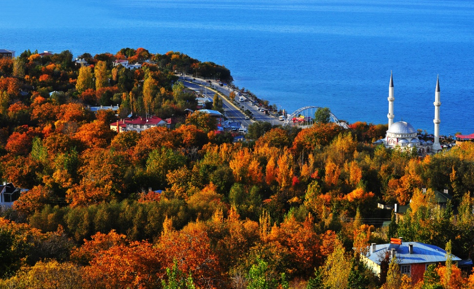 9f79b035-2dee-4020-8401-1a281f62a273